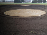 Pettisville South Fields Project