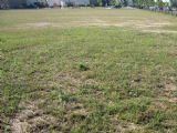Dayton Boys Prep Academy Baseball Renovation